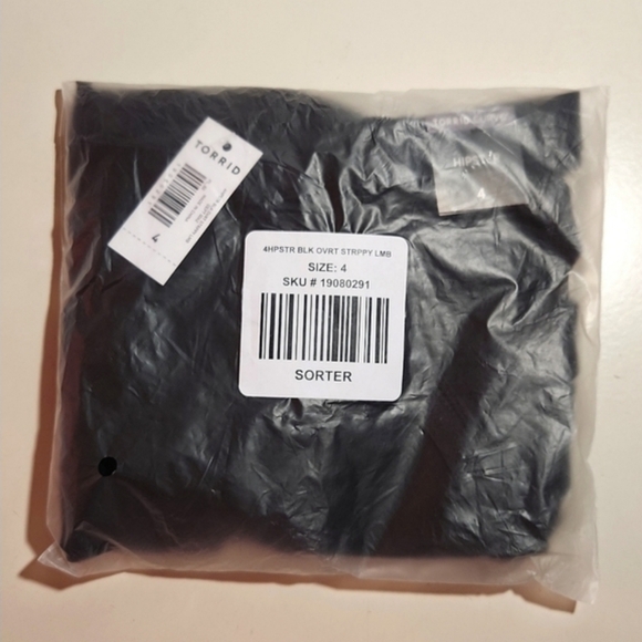 ❤️NWT VINTAGE TORRID PANTY - OVERT STRAPPY MESH HIPSTER PANTY LINGERIE - Picture 2 of 11